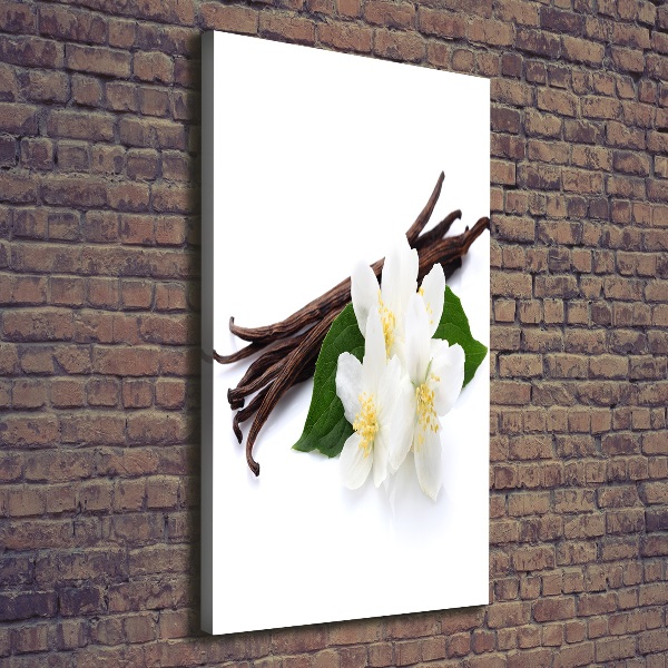 Canvas wall art Jasmine and vanilla