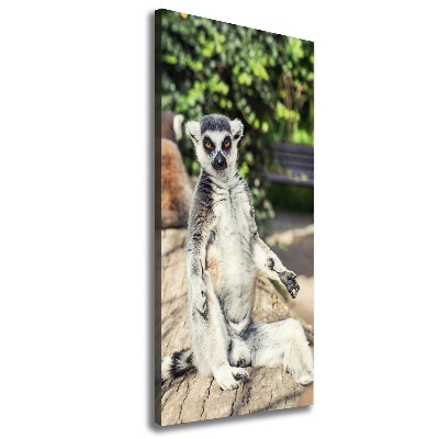 Canvas wall art Lemur