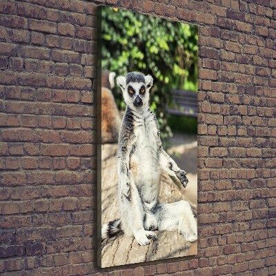 Canvas wall art Lemur