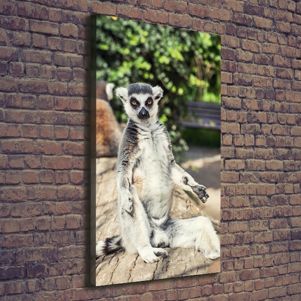 Canvas wall art Lemur