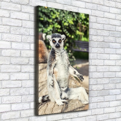 Canvas wall art Lemur