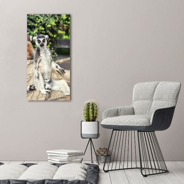 Canvas wall art Lemur