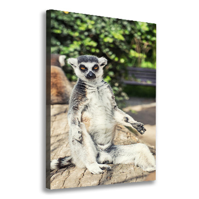 Canvas wall art Lemur