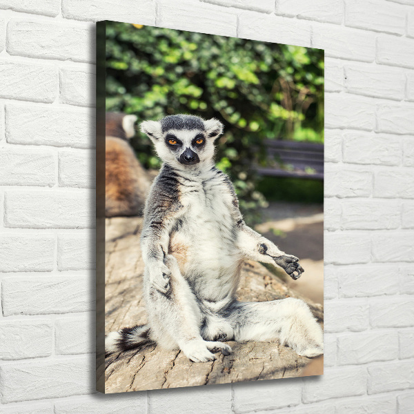 Canvas wall art Lemur