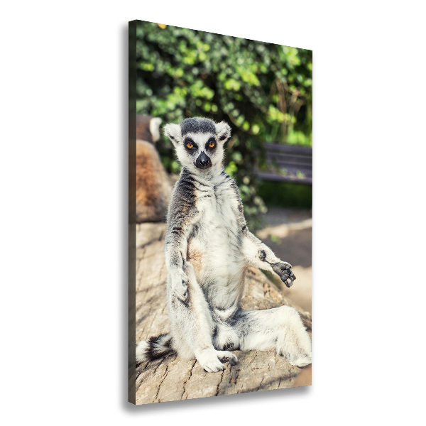 Canvas wall art Lemur