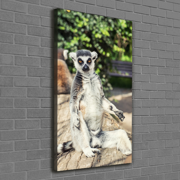 Canvas wall art Lemur