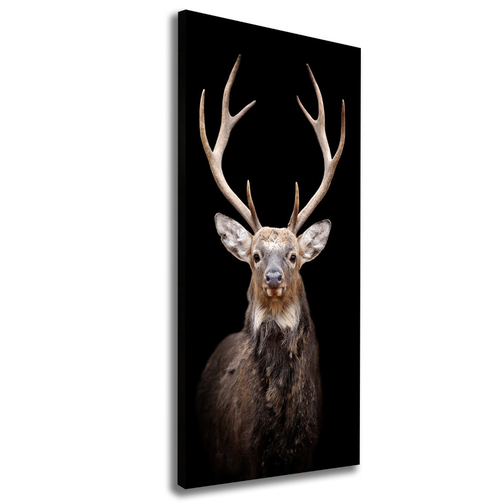 Canvas wall art Deer