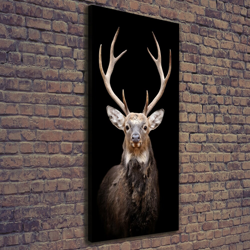 Canvas wall art Deer