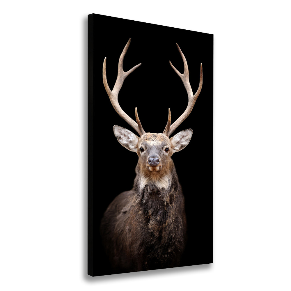 Canvas wall art Deer