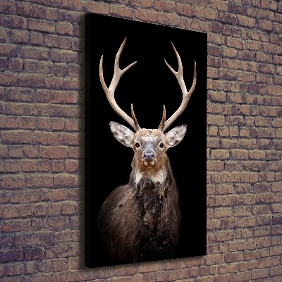 Canvas wall art Deer