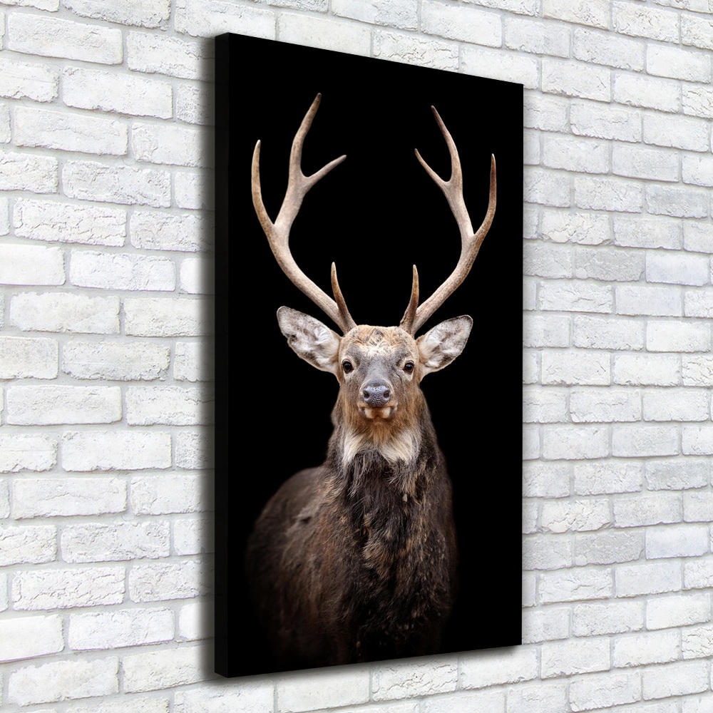 Canvas wall art Deer