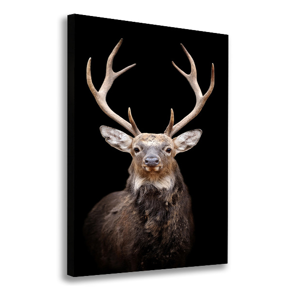 Canvas wall art Deer