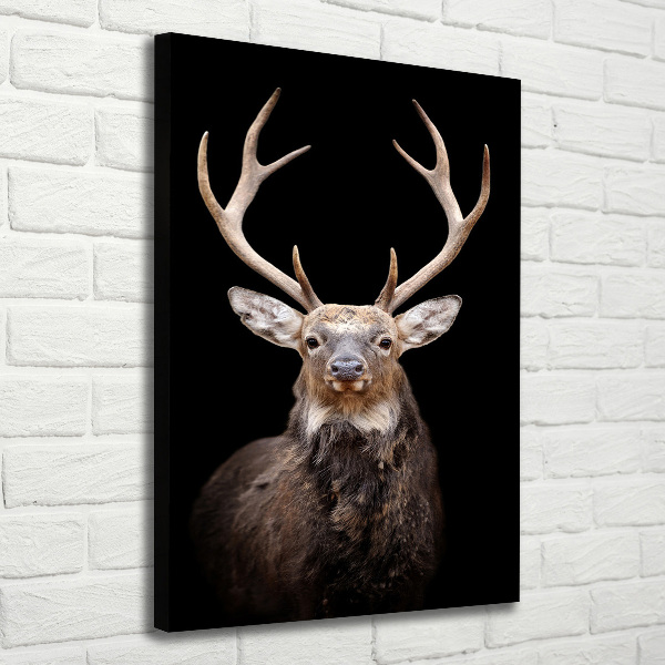 Canvas wall art Deer