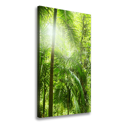 Canvas wall art the rainforest