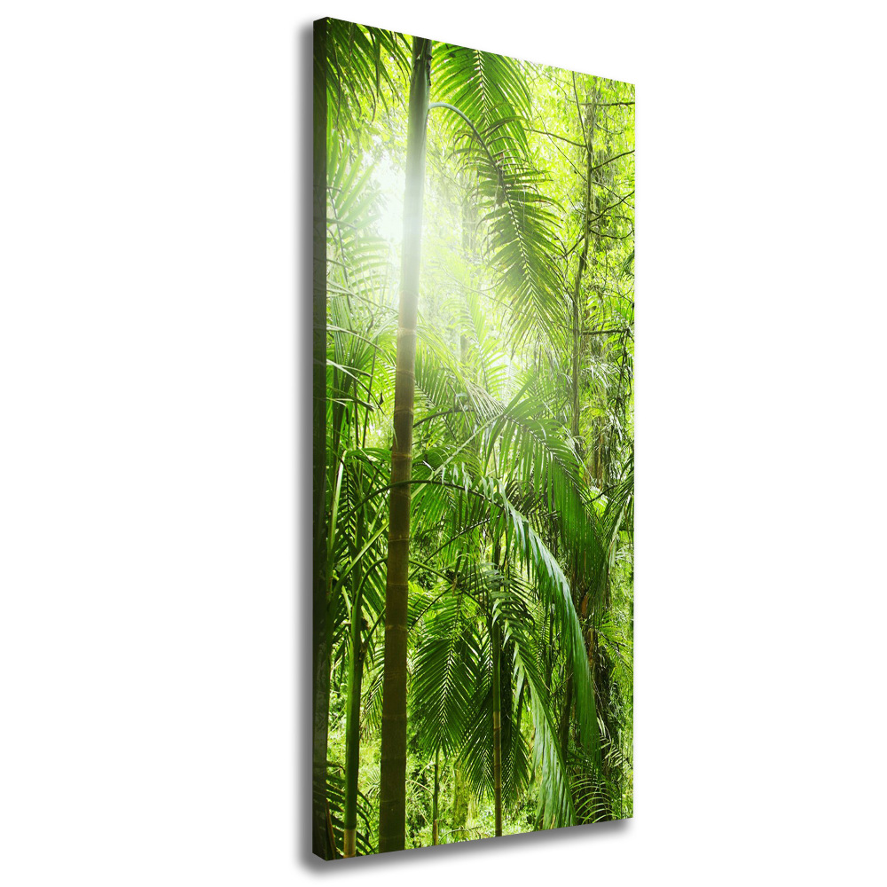 Canvas wall art the rainforest