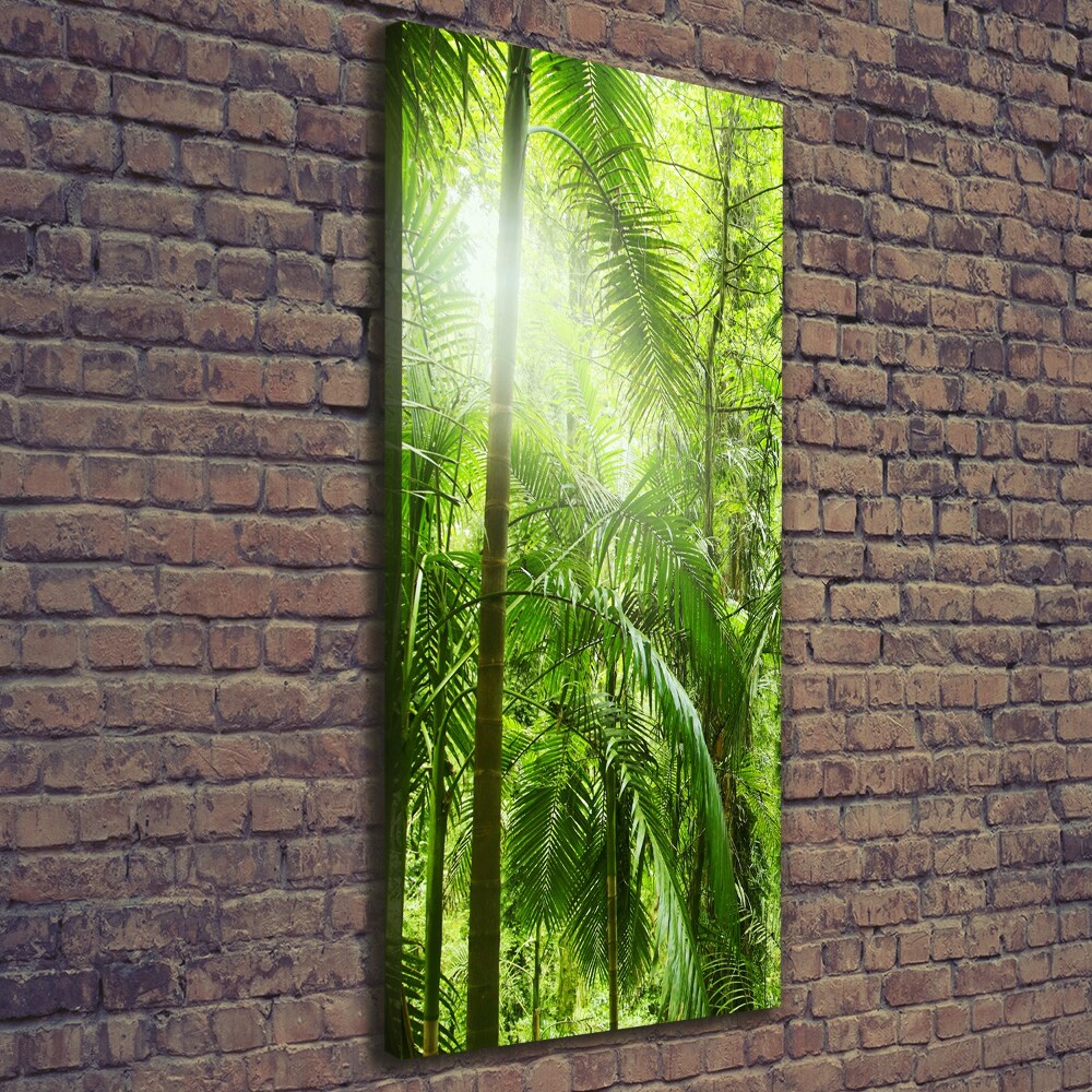 Canvas wall art the rainforest