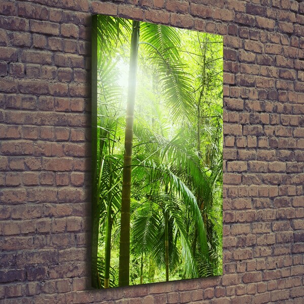 Canvas wall art the rainforest