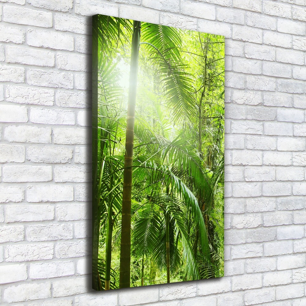 Canvas wall art the rainforest