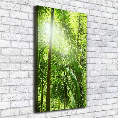 Canvas wall art the rainforest