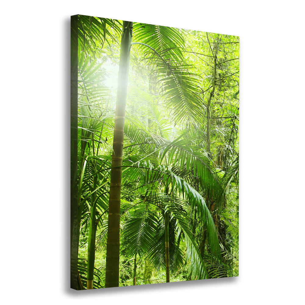 Canvas wall art the rainforest