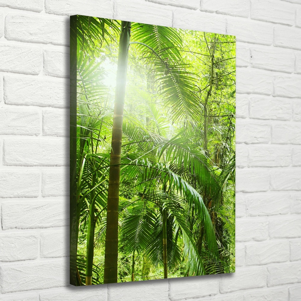 Canvas wall art the rainforest