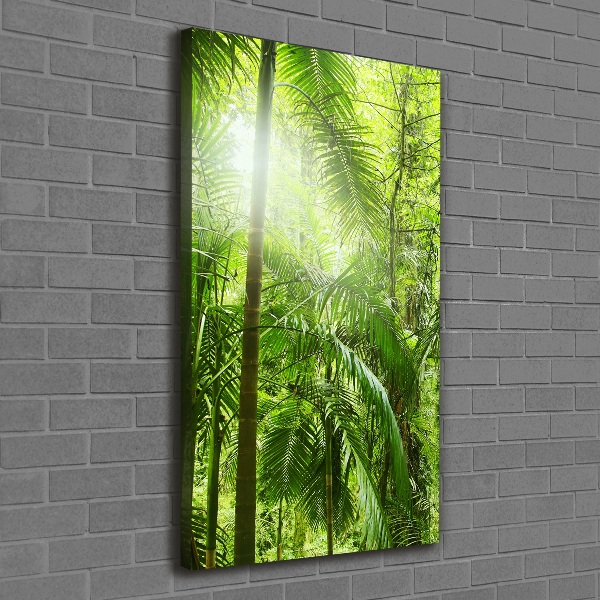 Canvas wall art the rainforest