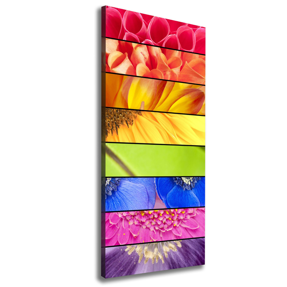 Canvas wall art Colorful flowers