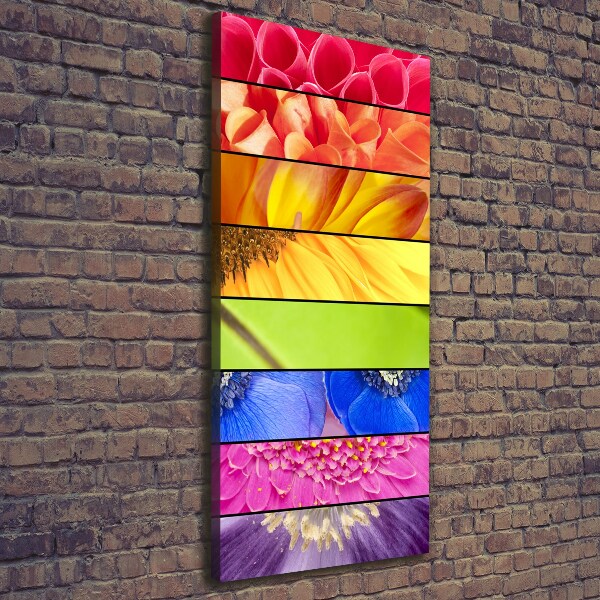 Canvas wall art Colorful flowers