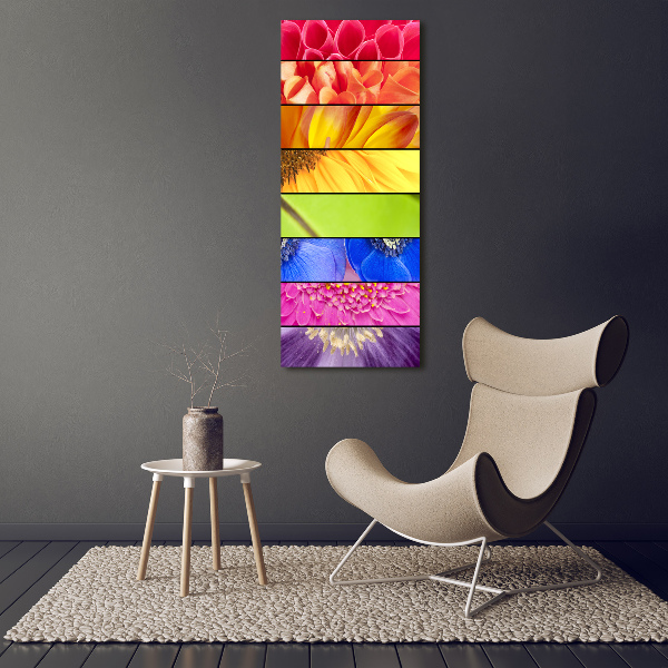 Canvas wall art Colorful flowers