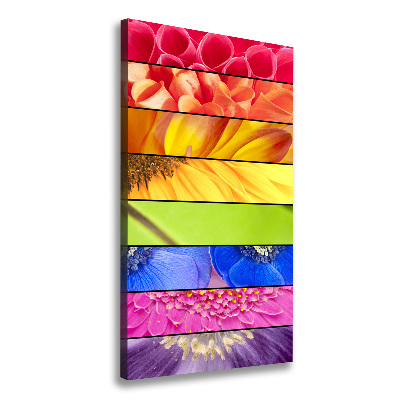 Canvas wall art Colorful flowers