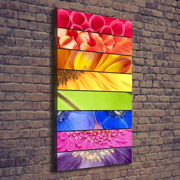 Canvas wall art Colorful flowers