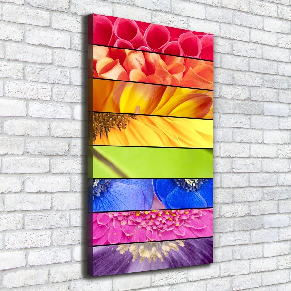 Canvas wall art Colorful flowers