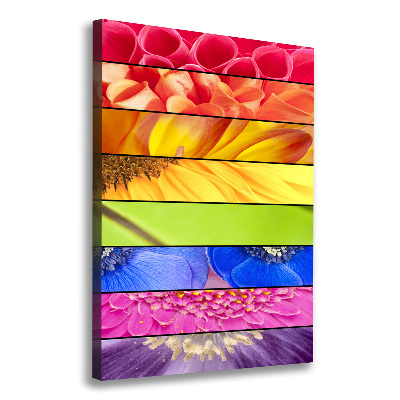 Canvas wall art Colorful flowers