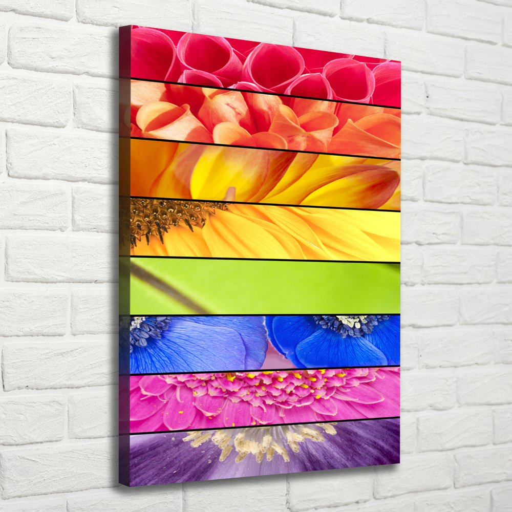 Canvas wall art Colorful flowers