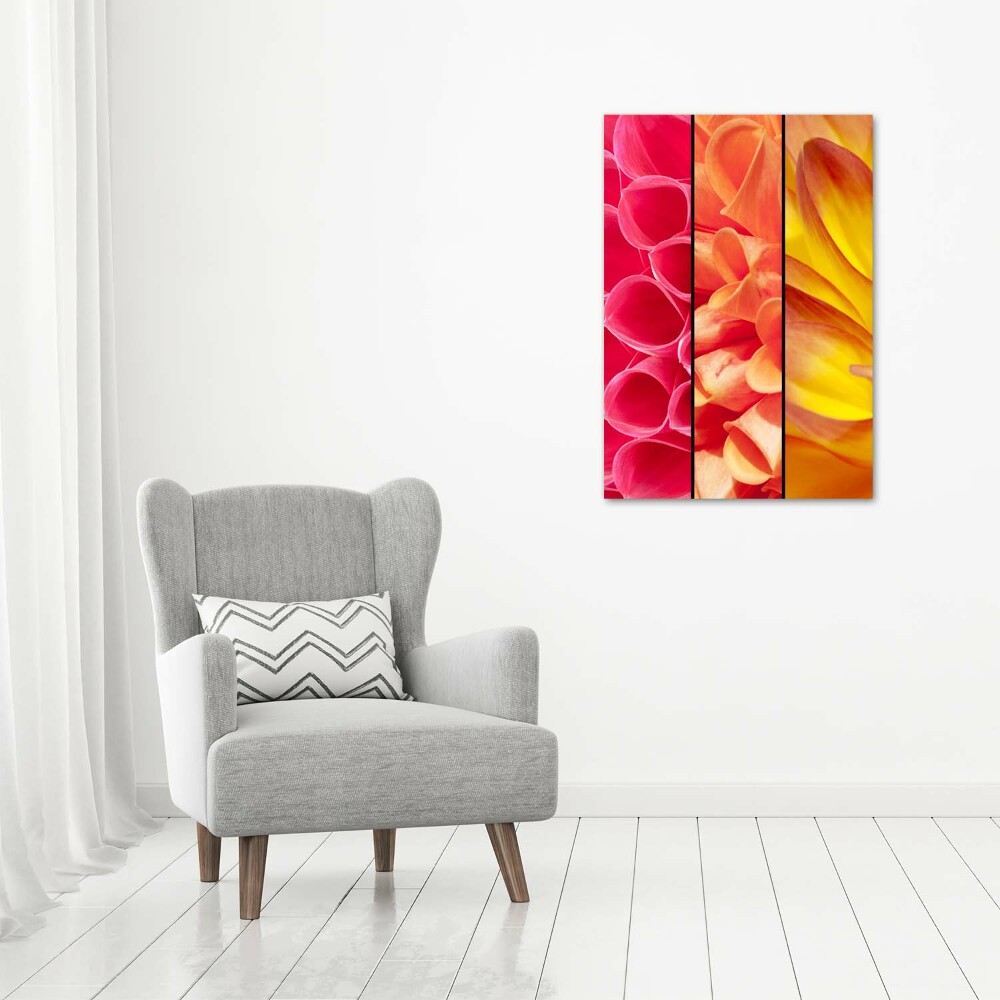 Canvas wall art Colorful flowers