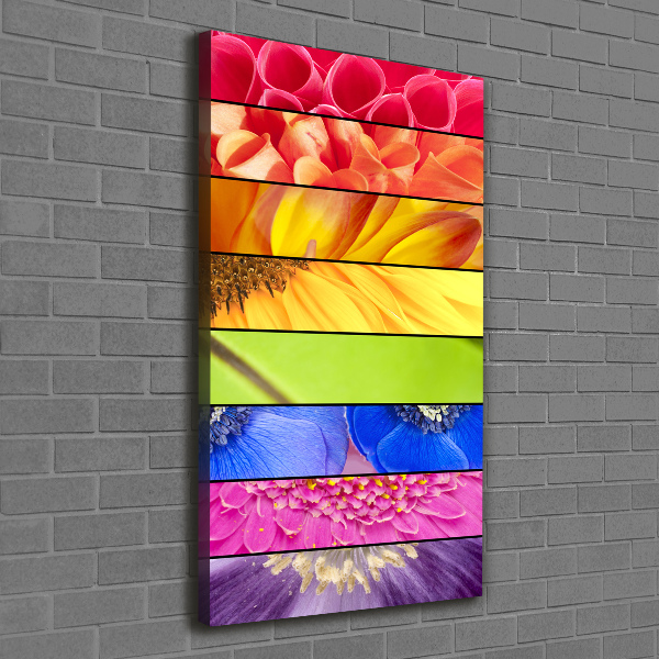 Canvas wall art Colorful flowers