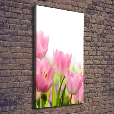 Large canvas wall art Pink tulips