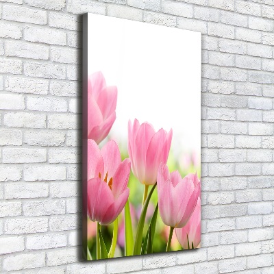 Large canvas wall art Pink tulips