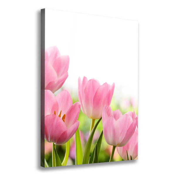 Large canvas wall art Pink tulips