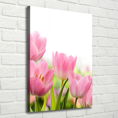 Large canvas wall art Pink tulips