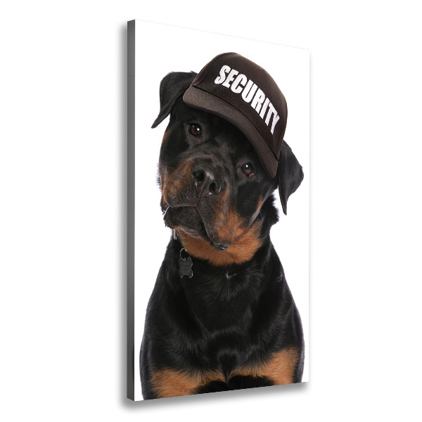 Canvas wall art Rottweiler in the hat