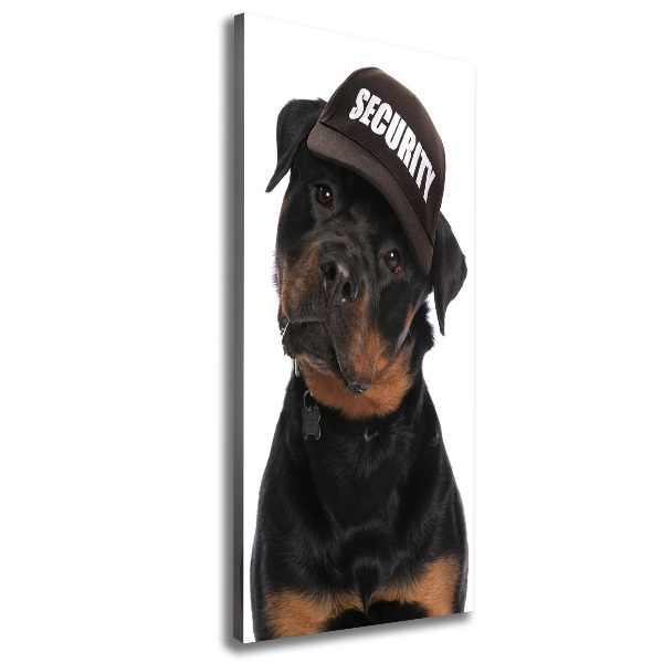 Canvas wall art Rottweiler in the hat