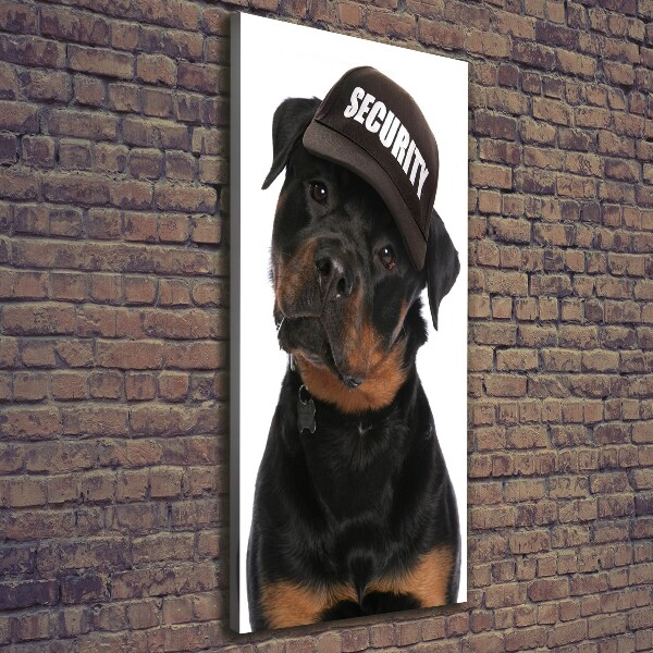 Canvas wall art Rottweiler in the hat