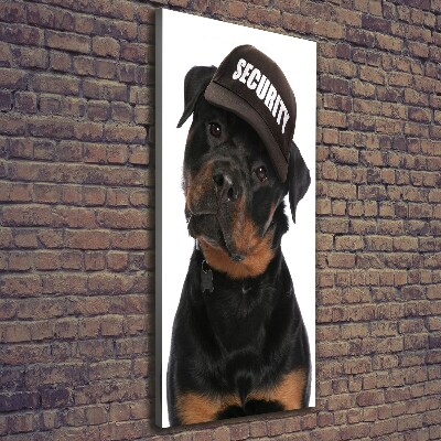 Canvas wall art Rottweiler in the hat