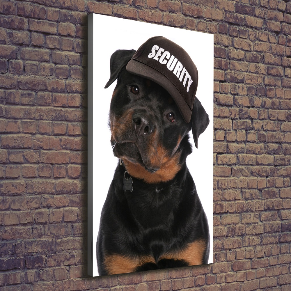 Canvas wall art Rottweiler in the hat