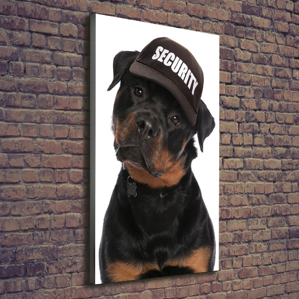 Canvas wall art Rottweiler in the hat