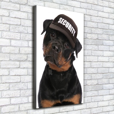 Canvas wall art Rottweiler in the hat