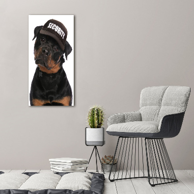 Canvas wall art Rottweiler in the hat