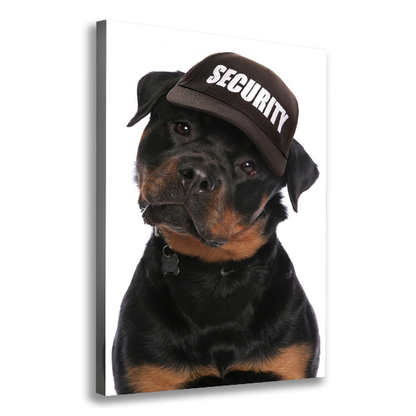 Canvas wall art Rottweiler in the hat