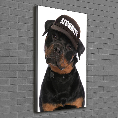 Canvas wall art Rottweiler in the hat